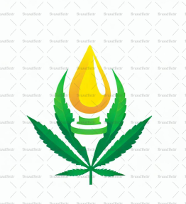 Cannabis Öl